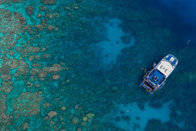 All Inclusive Great Barrier Reef Cruise w optional Scuba Diving - An In-Depth Look at the Reef Experience Tour