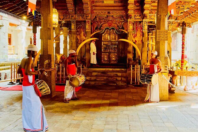 All Inclusive Kandy Private Day Tour From Colombo and Negombo - What Makes This Tour Stand Out?