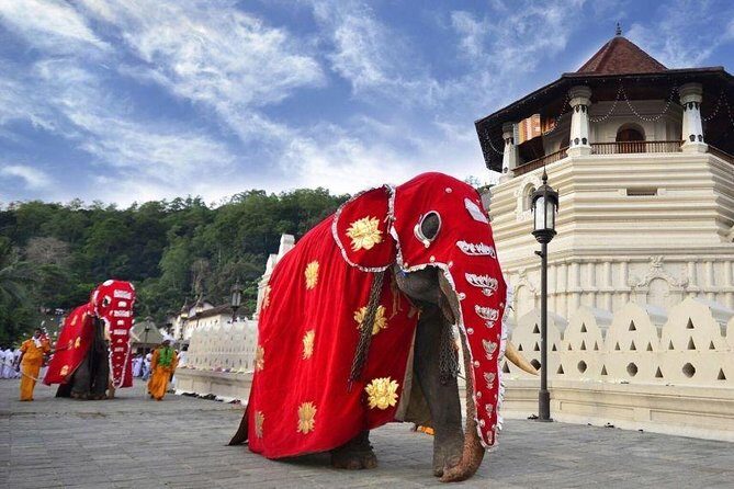 All Inclusive Kandy Private Day Tour From Colombo and Negombo - Final Thoughts