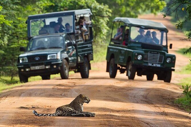 All inclusive leopard safari Wilpattu with guide - Why This Tour Is a Great Value