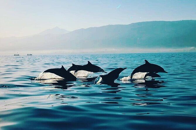 All inclusive Lovina Dolphins Sunrise tour, Waterfall & Temple - Starting Point: Pickup and Transportation