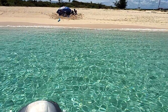 All-Inclusive: Mako 29ft Boat Tour to Icacos Palomino & Palominito - Authentic Traveler Feedback