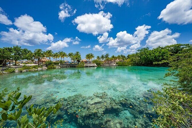 All Inclusive Mexican Tour with Buffet and Tequila Tasting - Relaxation and Free Time