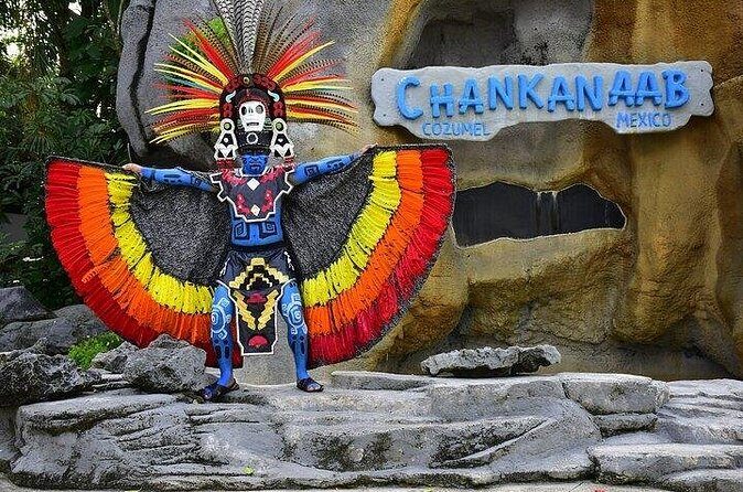 All Inclusive Mexican Tour with Buffet and Tequila Tasting - FAQ