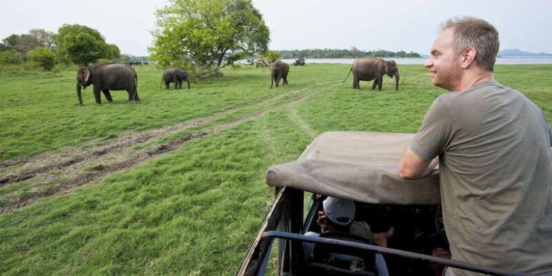 All-Inclusive Minneriya National Park Afternoon Safari - What You Can Expect from This Safari Experience