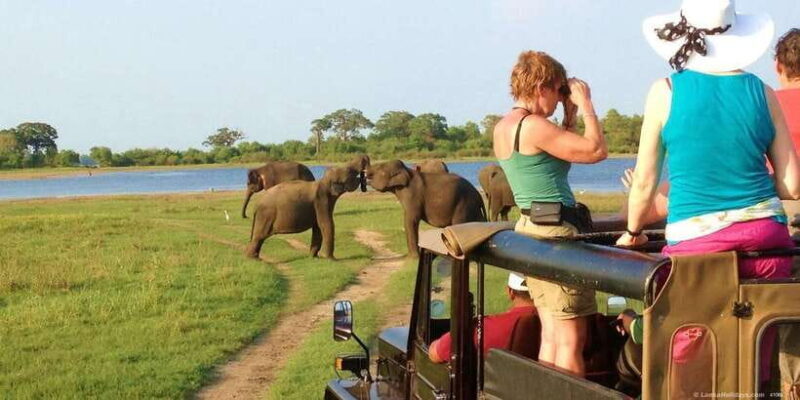 All-Inclusive Minneriya National Park Afternoon Safari - Final Thoughts
