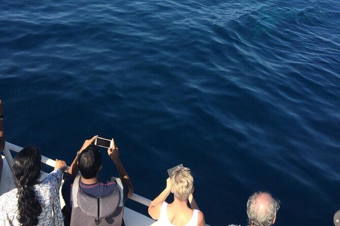 All Inclusive Mirissa Morning Whale Watching Boat Tour with Geeth - The Journey Begins: Setting Out from Mirissa
