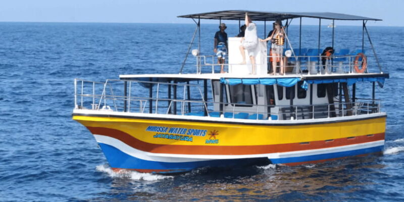 All Inclusive Mirissa Whale and Dolphin Watching Boat Ride - Key Points