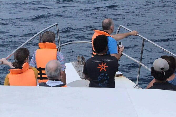 All Inclusive Mirissa Whale and Dolphin Watching Boat Ride - Who Will Love This Tour?