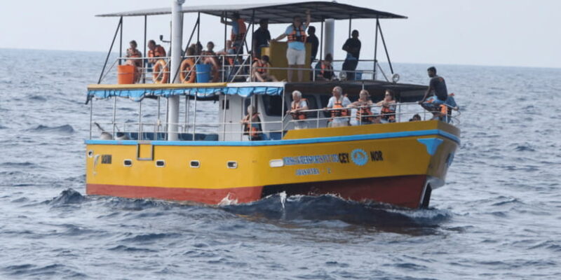 All Inclusive Mirissa Whale & Dolphin Watching + Snorkeling - Key Points