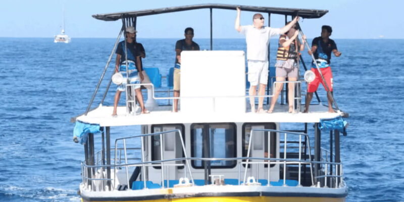 All Inclusive Mirissa Whale & Dolphin Watching + Snorkeling - An In-Depth Look at the Experience