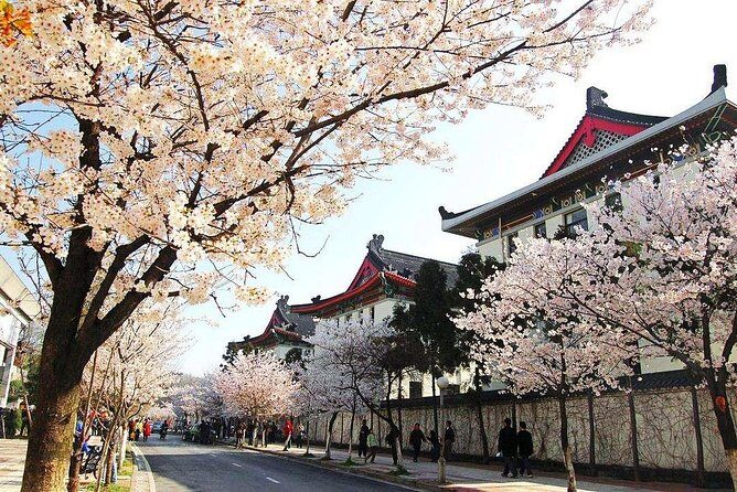 All Inclusive Nanjing City Private Day Tour with Tailor-Made Highlights - A detailed look at what makes this tour special
