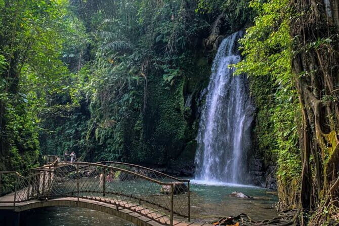 All Inclusive of Ubud Top Attraction - The Sacred Monkey Forest Sanctuary: Nature and Spirituality
