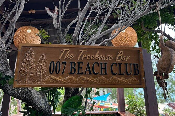 All Inclusive Pig Encounter, Snorkeling, Turtles, Lunch & Beach - Who Is This Tour Best For?