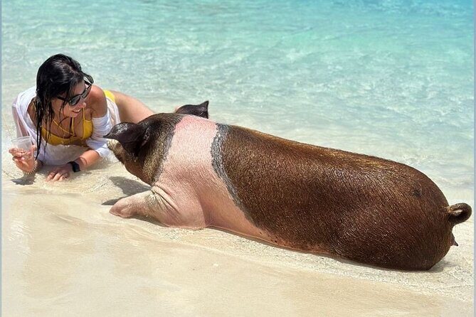 All Inclusive Pig Encounter, Snorkeling, Turtles, Lunch & Beach - Final Thoughts: Is This Tour Worth It?
