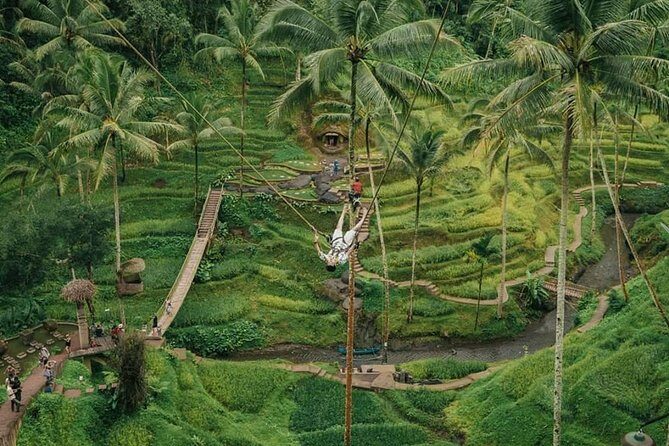 All inclusive Private 3 day tours package : Bali highlights - Key Points