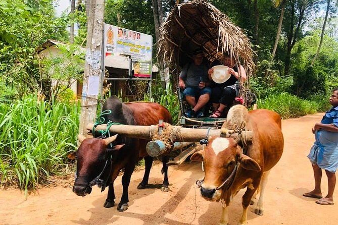All inclusive Private Day tour Sigiriya, Dambulla & traditional village tour - Who Is This Tour Best For?