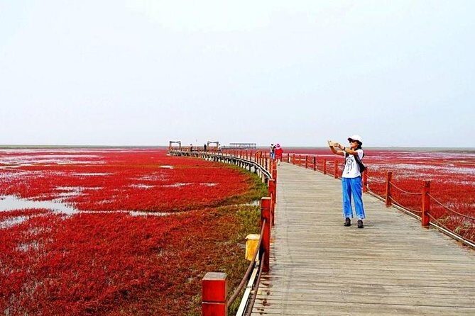 All-Inclusive Private Day Tour to Red Beach in Panjin City - Key Points