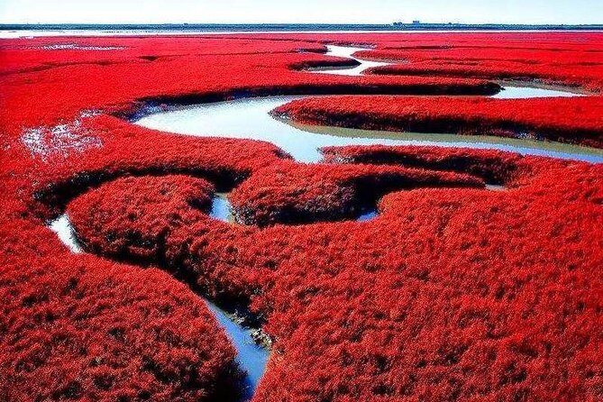 All-Inclusive Private Day Tour to Red Beach in Panjin City - The Sum Up