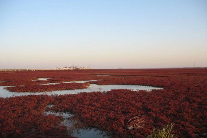 All-Inclusive Private Day Tour to Red Beach in Panjin City - FAQ