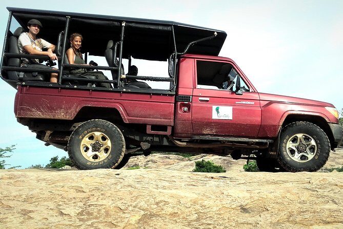 All Inclusive Private Full Day Safari in Yala National Park with Lunch - The Meals and Comfort: What’s Included