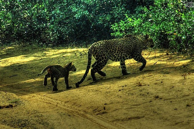All inclusive Private jeep safari at Yala National park - FAQ