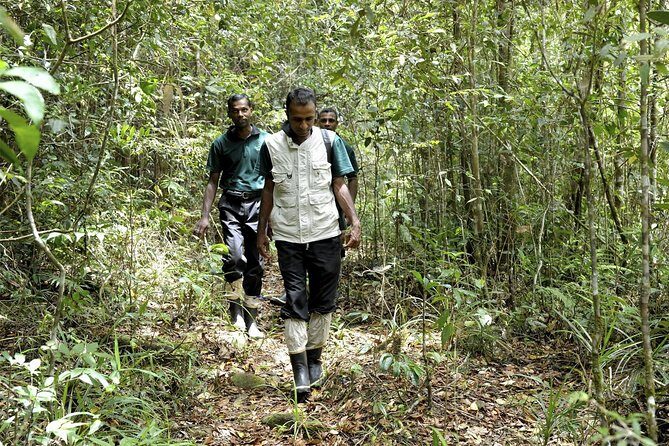 All Inclusive - Private Overnight Rain forest adventure in Sinharaja - Key Points