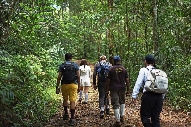 All Inclusive - Private Overnight Rain forest adventure in Sinharaja - Who Should Consider This Tour?