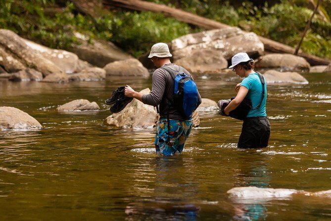 All Inclusive - Private Overnight Rain forest adventure in Sinharaja - The Sum Up: Is It Worth It?