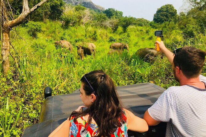 All Inclusive Private Safari at Habarana Park (Pick-up Included) - Who Should Consider This Tour?