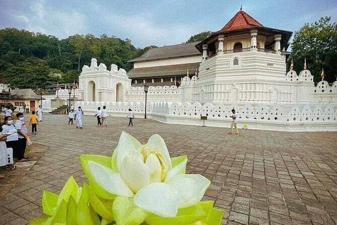 All-Inclusive Private tour in Sri Lankan Island 9 Day HB hotels - What Do Travelers Love and Consider?