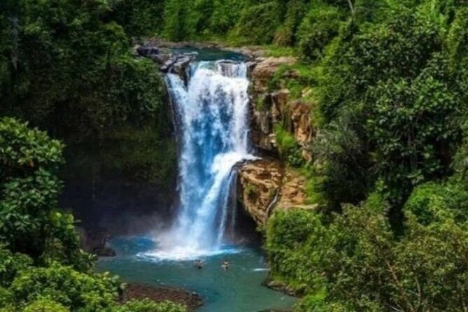 All-Inclusive Private Ubud and Tanah Lot Temple Tour - The Sum Up: Who Will Love This Tour?