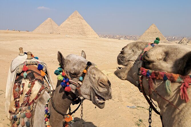 All-inclusive Saqqara, Giza pyramids,lunch,fees,30 min camel ride - Key Points