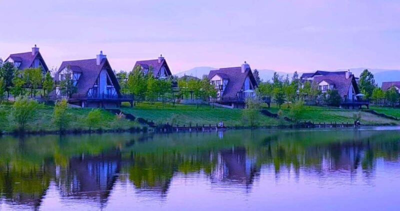 All Inclusive Shamakhi Alpaca & Wine Tour - Savoring Azerbaijan’s First Organic Wines in Meysari