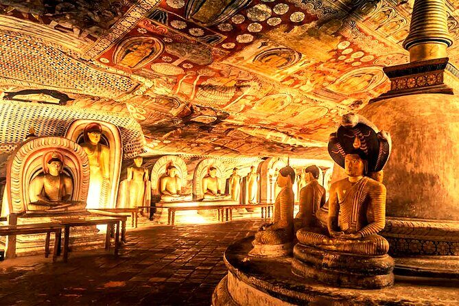 All Inclusive Sigiriya and Dambulla Day Tour from Colombo - The Itinerary: What to Expect