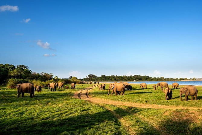 All Inclusive Sigiriya and Dambulla Day Tour from Katunayake - Final Thoughts