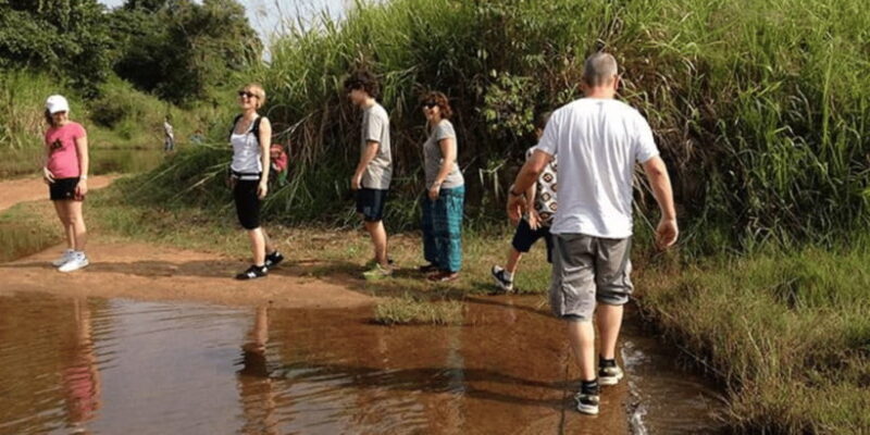 All-Inclusive Sigiriya Village Tour with Traditional Lunch - Key Points