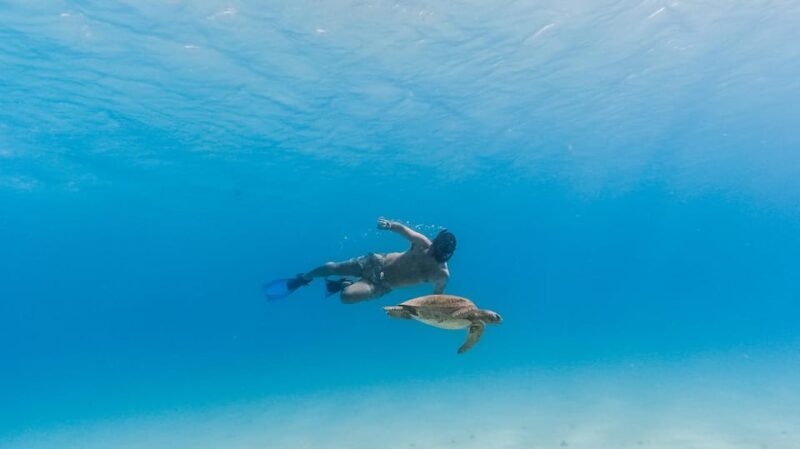 All-inclusive Snorkel in Balandras Hidden beaches, La Paz - Authentic Encounters and Practical Tips