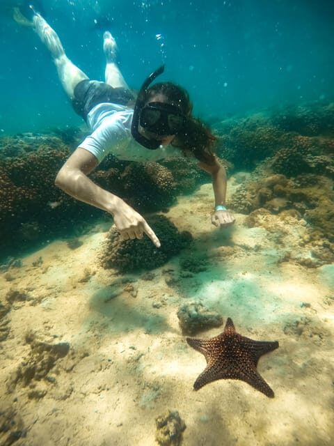 All-inclusive Snorkel in Balandras Hidden beaches, La Paz - Who Will Love This Tour?