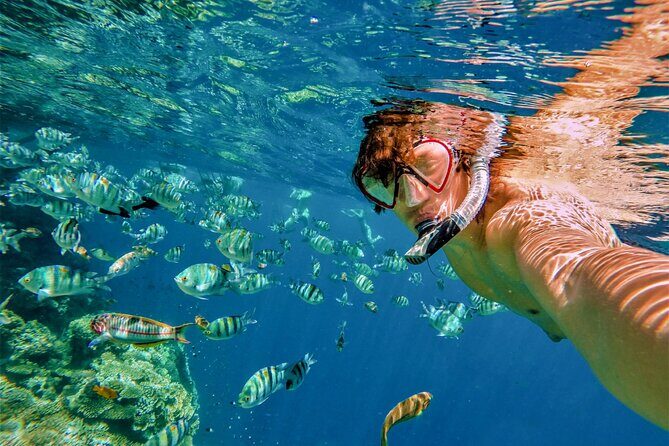All Inclusive: snorkeling, boat tour, food and drinks! - FAQs