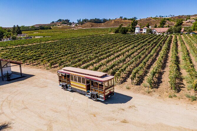All-Inclusive Social Wine Tour - Who Would Love This Tour?