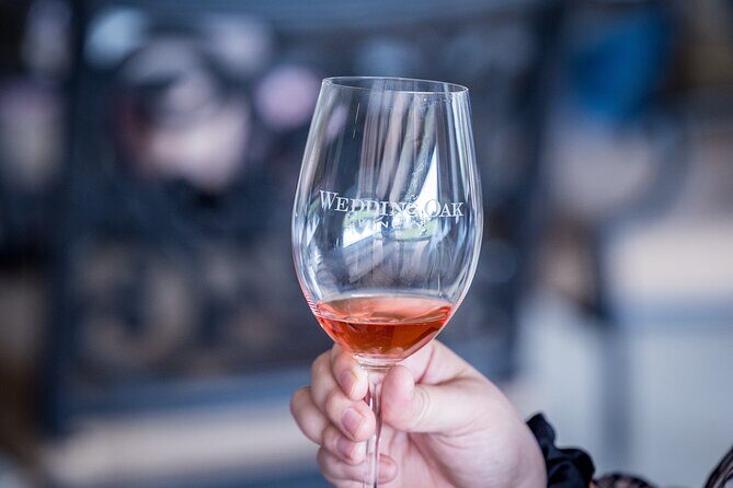 All-Inclusive Social Wine Tour - Final Thoughts: Is It Worth It?