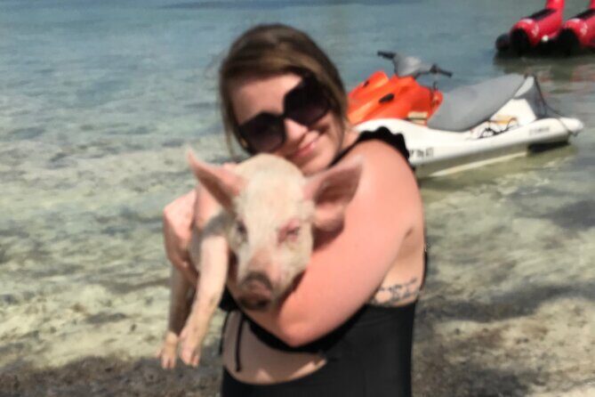 All Inclusive Swimming With The Pigs - The Sum Up: Who Will Love This Tour?