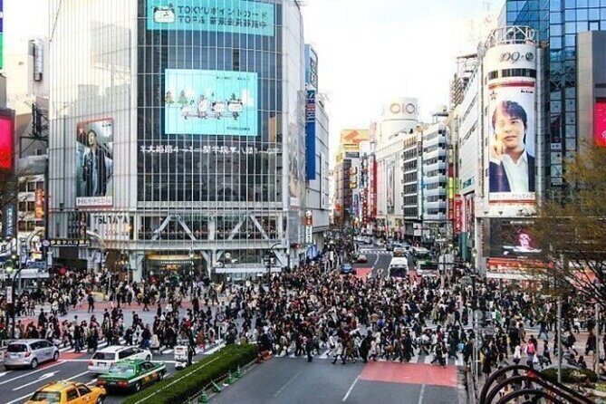 All Inclusive Tokyo Private Guided Tour with Hotel Pickup - An In-Depth Look at the Tour Experience