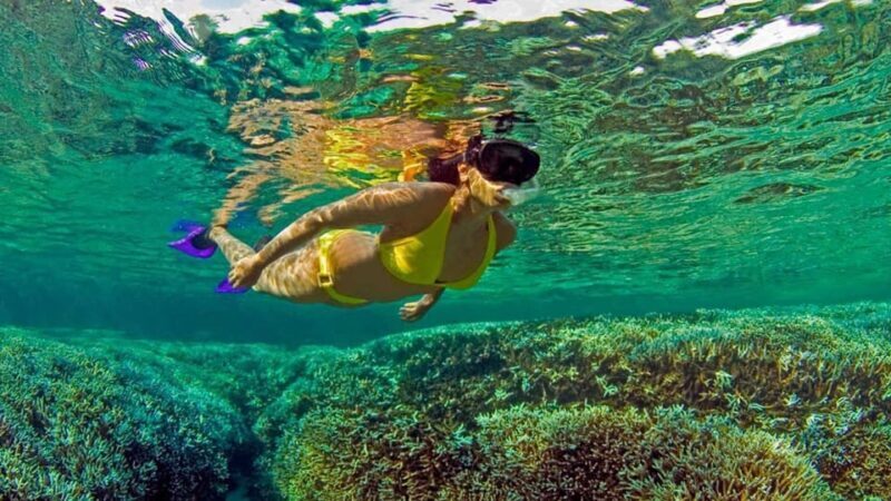 All Inclusive trincomalee: pigeon island tour + Snorkeling - Final Thoughts: Is This Tour for You?
