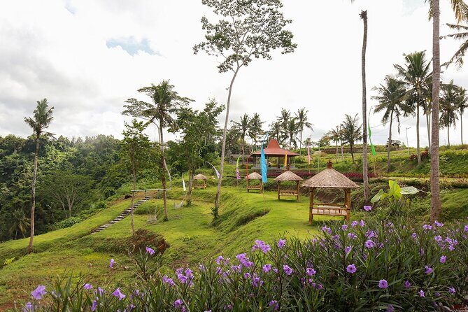 All-Inclusive Ubud Bali Private Full-Day Tour - The Itinerary in Detail: What Makes Each Stop Special