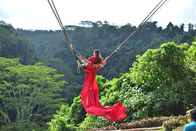 All-Inclusive Ubud Bali Private Full-Day Tour - Analyzing Value: Is It Worth It?