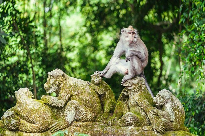All-Inclusive Ubud Bali Private Full-Day Tour - FAQs