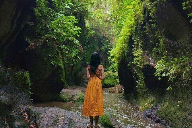 All inclusive Ubud private tour - Stroll Through Tegalalang Rice Terraces