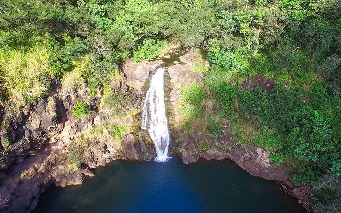 All Inclusive Ultimate Circle Island Tour, Waimea Falls & Lunch - A Full Breakdown of the Tour Experience